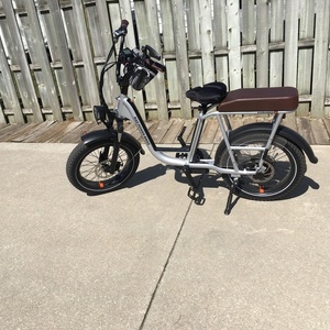 2021 Rad Power Bikes Radrunner Plus Silver, gray or bare metal