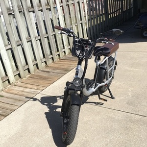 2021 Rad Power Bikes Radrunner Plus Silver, gray or bare metal