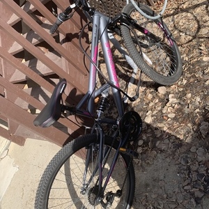 Surge Supercycle Canadaian tire high-tensile steel dual suspension frame Silver, gray or bare metal