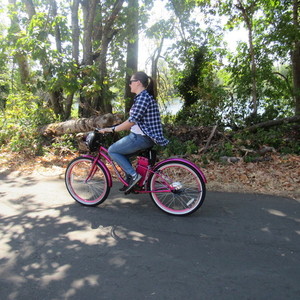 2015 X-Treme south beach cruiser Pink