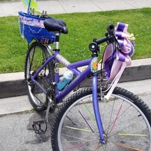 1992 Cannondale v 15 inch Purple