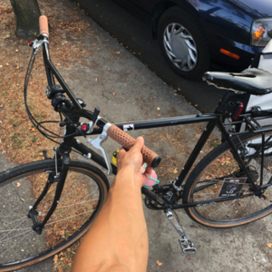 2021 Surly Cross Check Black