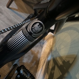 2008 Intense Podium 24” Pro Cru+ Silver, gray or bare metal and Black