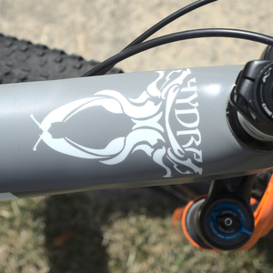 2018 Spry Hydra Silver, gray or bare metal and White