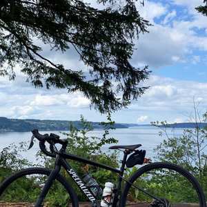 2019 Specialized Black