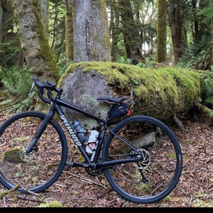 2019 Specialized Black