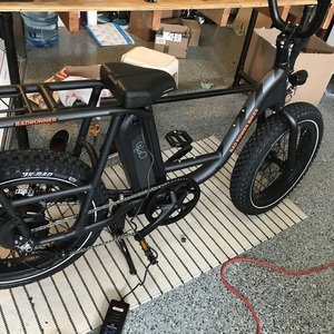 2021 Rad Power Bikes RadRunner Black
