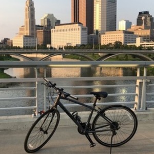2016 Trek FX3 WSD Silver, gray or bare metal and Black