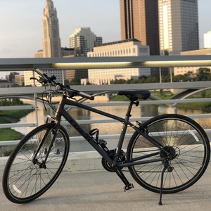 2016 Trek FX3 WSD Silver, gray or bare metal and Black