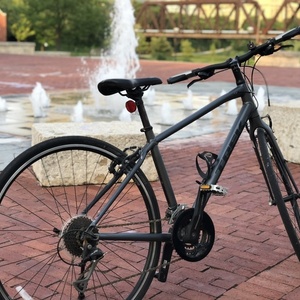2016 Trek FX3 WSD Silver, gray or bare metal and Black