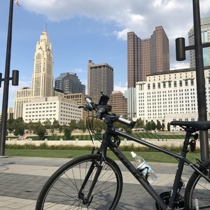 2016 Trek FX3 WSD Silver, gray or bare metal and Black
