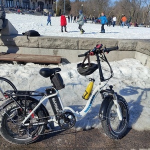 2019 Voltbike aluminum-alloy 6061 Step-thru White and Blue