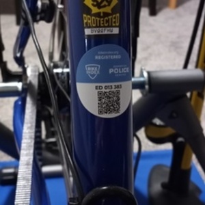 2019 Co-Motion Equator Co-Pilot tandem Blue