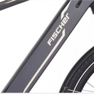 2019 Fischer Silver, gray or bare metal