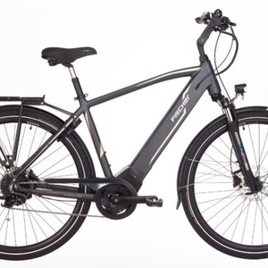 2019 Fischer Silver, gray or bare metal