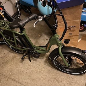 2021 Rad Power Bikes RADRUNNER Green
