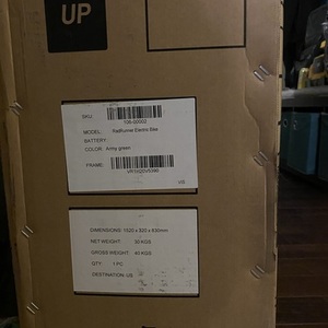 2021 Rad Power Bikes RADRUNNER Green