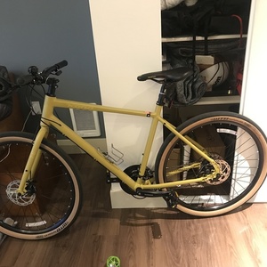 2019 Kona Dew Yellow or Gold