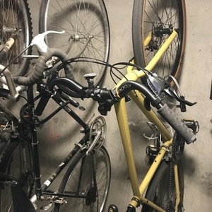 2019 Kona Dew Yellow or Gold