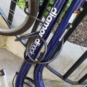 Diamondback Vital2 Blue
