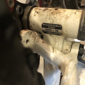 Devinci Moonracer White