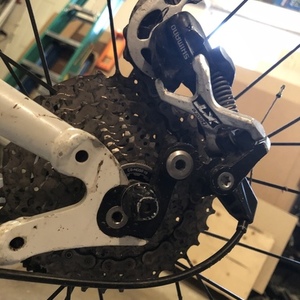 Devinci Moonracer White