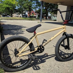 Federal Perrin Yellow or Gold and Black