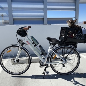 2019 Onway Step Thru