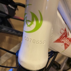 2019 Onway Step Thru White