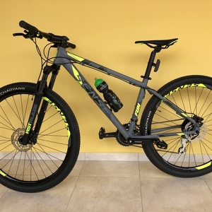 2020 Sense Mountain bike Silver, gray or bare metal