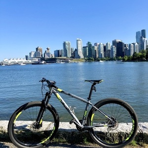 2020 Sense Mountain bike Silver, gray or bare metal