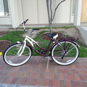 2014 Schwinn S5477B Purple