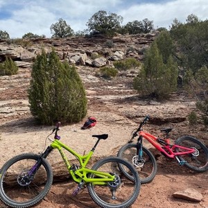 2019 Evil Wreckoning Green and Purple