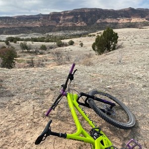 2019 Evil Wreckoning Green and Purple