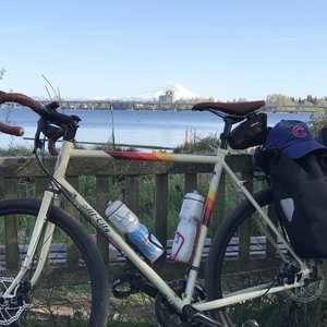 2018 All City Space Horse Disc Cream White