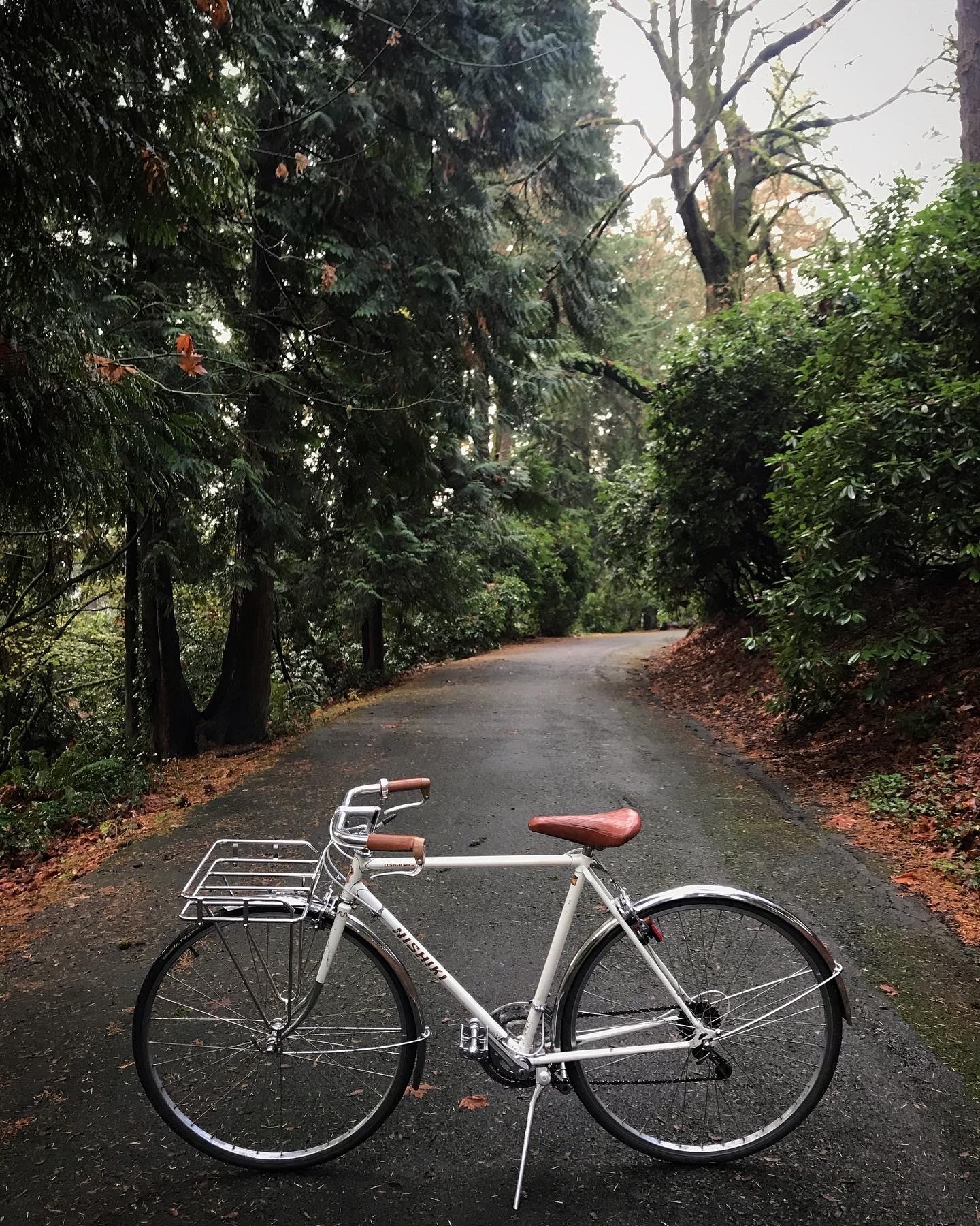 nishiki custom sport