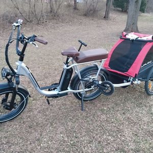 2021 Rad Power Bikes RadRunner Plus cargo bike (rear storage) Silver, gray or bare metal and Black