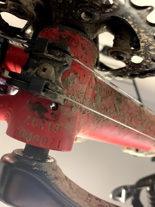 nishiki road bike red