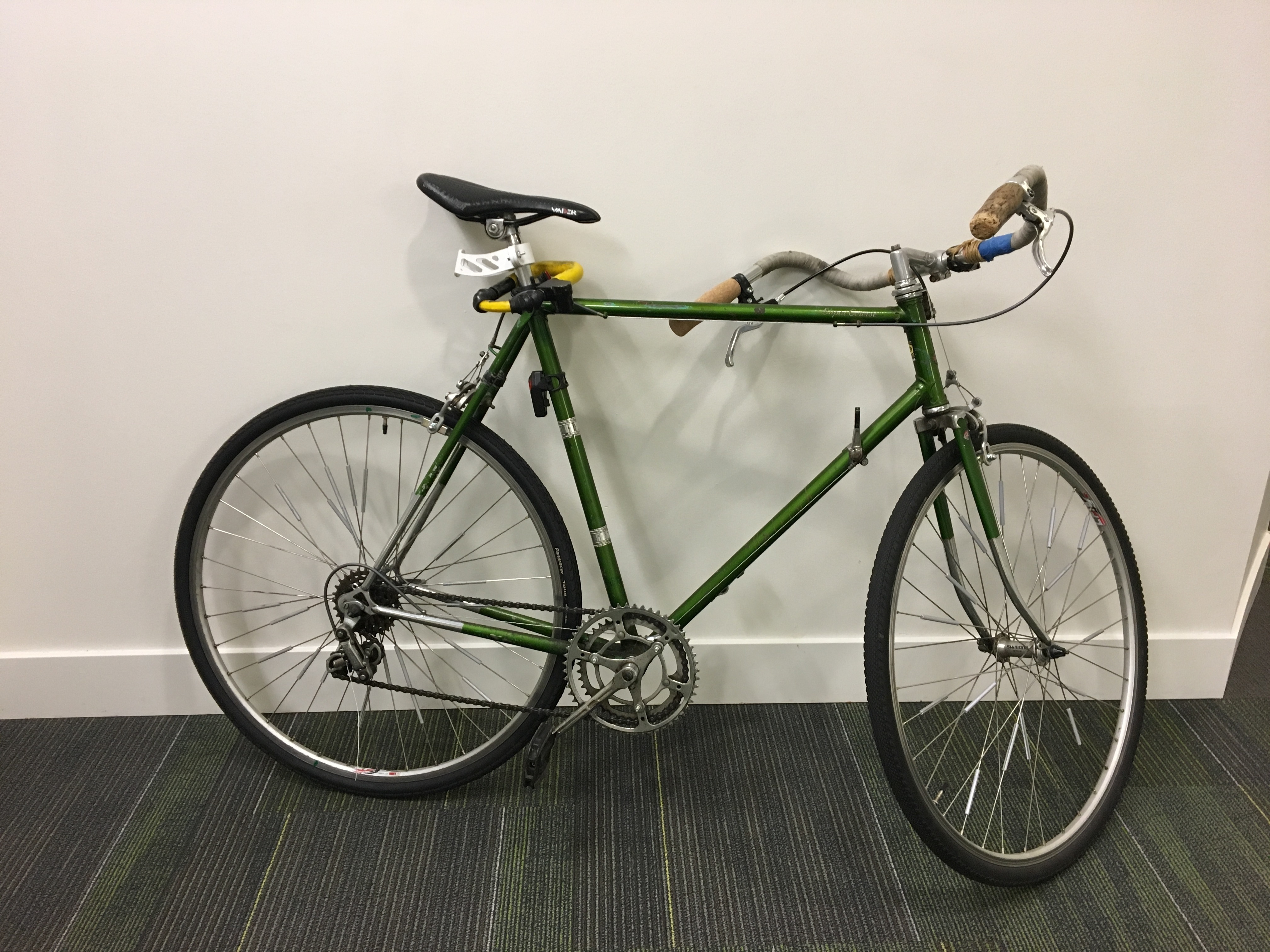 Stolen 1973 Raleigh Super Course