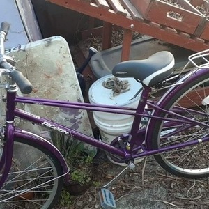 Flying Pigeon Rose 2 Purple