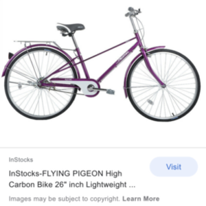 Flying Pigeon Rose 2 Purple