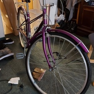 Flying Pigeon Rose 2 Purple