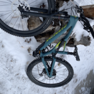2020 Specialized Teal