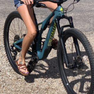 2020 Specialized Teal