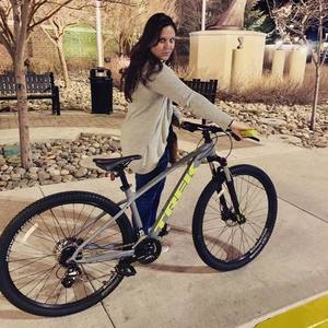 2019 Trek Marlin 6 Silver, gray or bare metal and Green