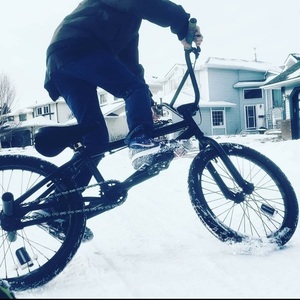 Haro Black