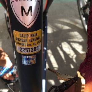 2018 Specialized Blue