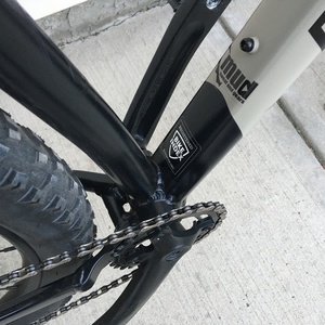 2021 Rocky Mountain Bicycles Growler 20 Silver, gray or bare metal and Black