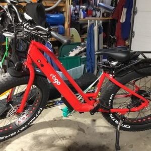 2021 Lectric eBikes CCEF Red