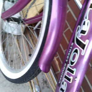 La Jolla Ladies 24" Purple